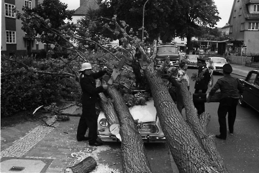 19690707 Baum auf Auto Geismarland 1