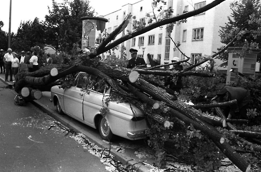19690707 Baum auf Auto Geismarland