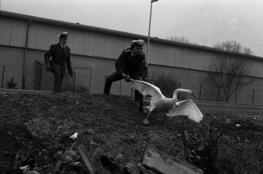 19740218 Polizei Schwanenfang