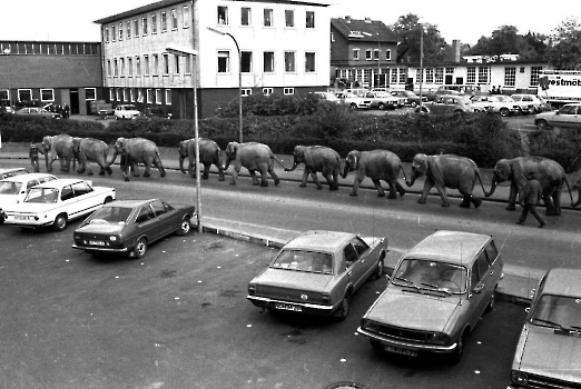 19781027 Cirkus Althoff Elefanten