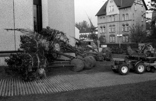19781120 Bäume Rathaus