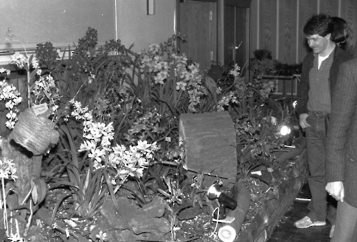 19840310 Orchideenschau 1