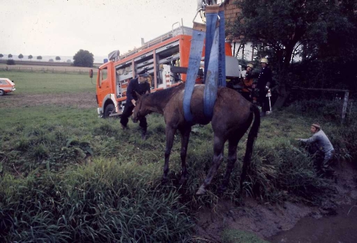 19860829 BF Pferderettung Gartemühle 1