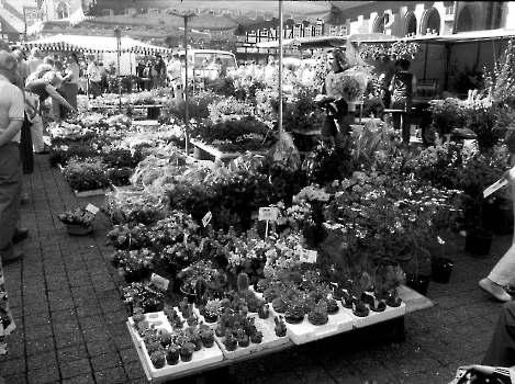 19900506 Blumenmarkt - Marktplatz
