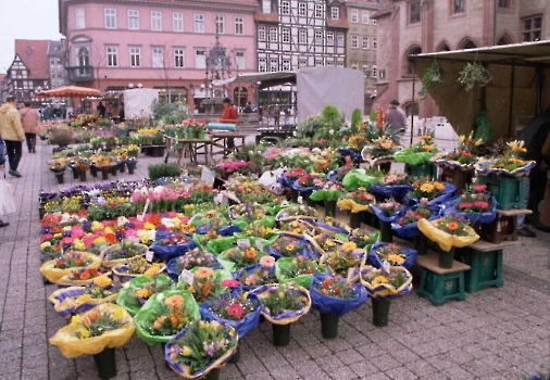 19980329 Blumenmarkt Marktplatz